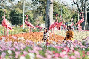 BIB: 
                            <button type="button" onclick="openModal(27344216)" class="btn btn-primary btn-sm float-right btn-popup" data-toggle="modal" data-target=".modal-high-quality">
                        <i class="fas fa-shopping-cart"></i> Add to Cart
                    </button>
                                            <button type="button" onclick="isThisMe(27344216, true)" class="btn btn-success btn-sm float-right btn-popup btn-isme hidden" data-toggle="tooltip" data-placement="bottom" title="นี่คือรูปของคุณใช่ไหม คลิกที่นี่เพื่อเอาเข้าอัลบั้ม">
                        <i class="fas fa-plus"></i> Add to album
                    </button>
                    <button type="button" onclick="isThisMe(27344216, false)" class="btn btn-warning btn-sm float-right btn-popup btn-isnotme hidden">
                        <i class="fas fa-ban"></i> Remove from album
                    </button>